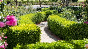 Tuin