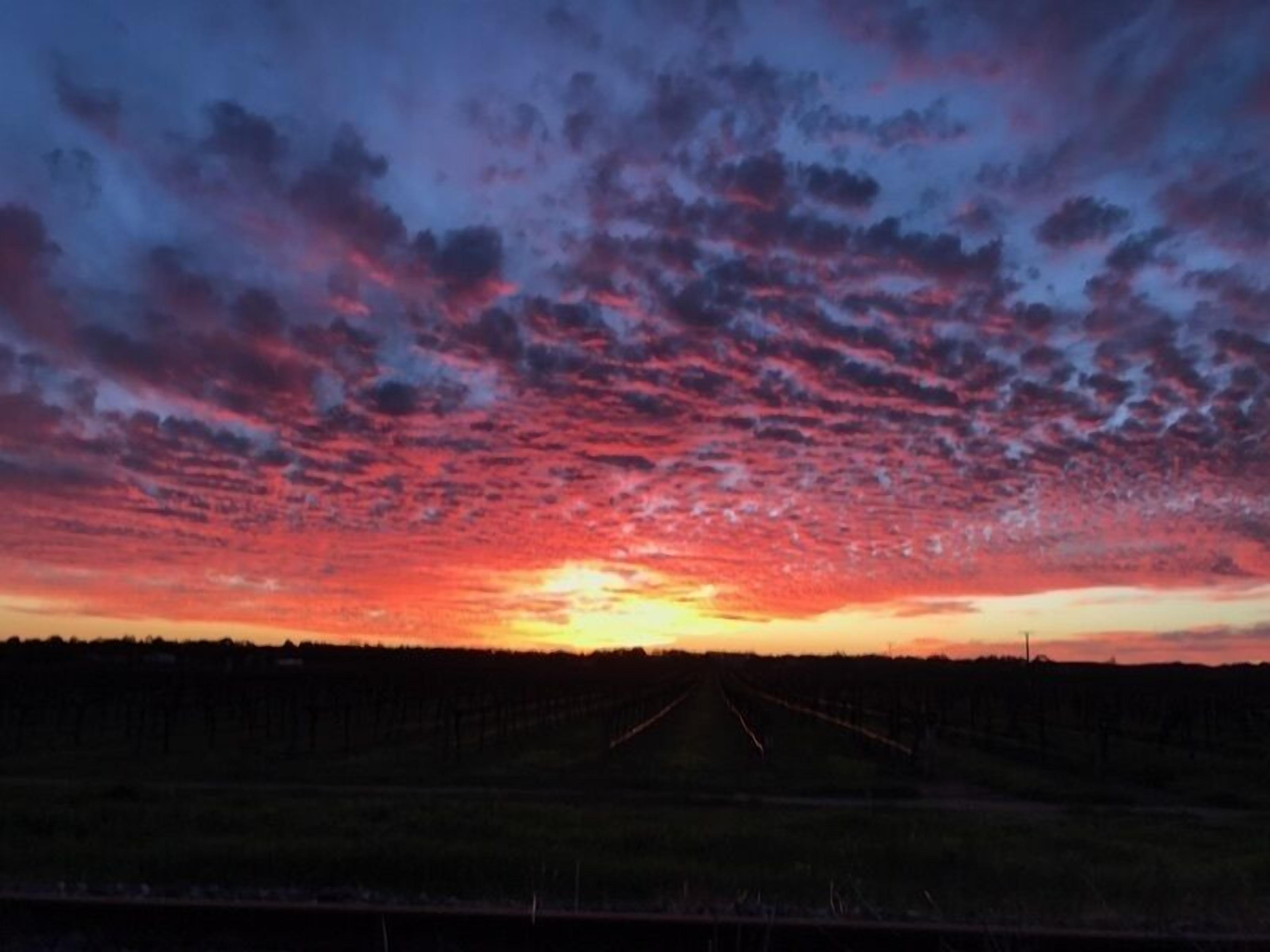 Un coucher de soleil sur un champ, avec une clôture au premier plan.