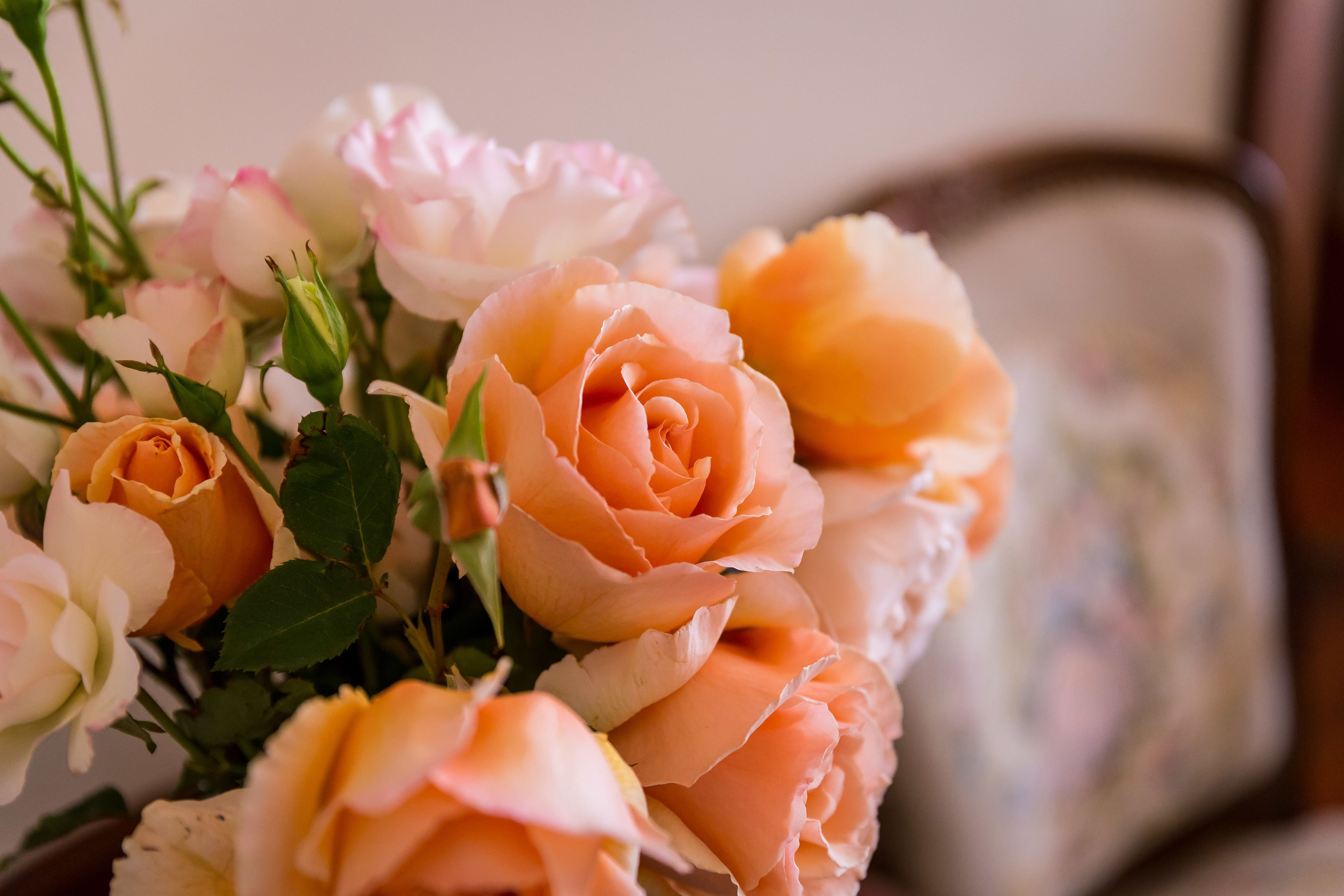 A bouquet of roses with various shades of pink and peach.