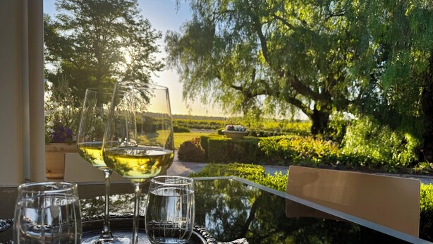 A table with a tray holding three wine glasses and a glass of white wine, set against a backdrop of a garden with trees and a clear sky. - Barossa House (Tanunda)