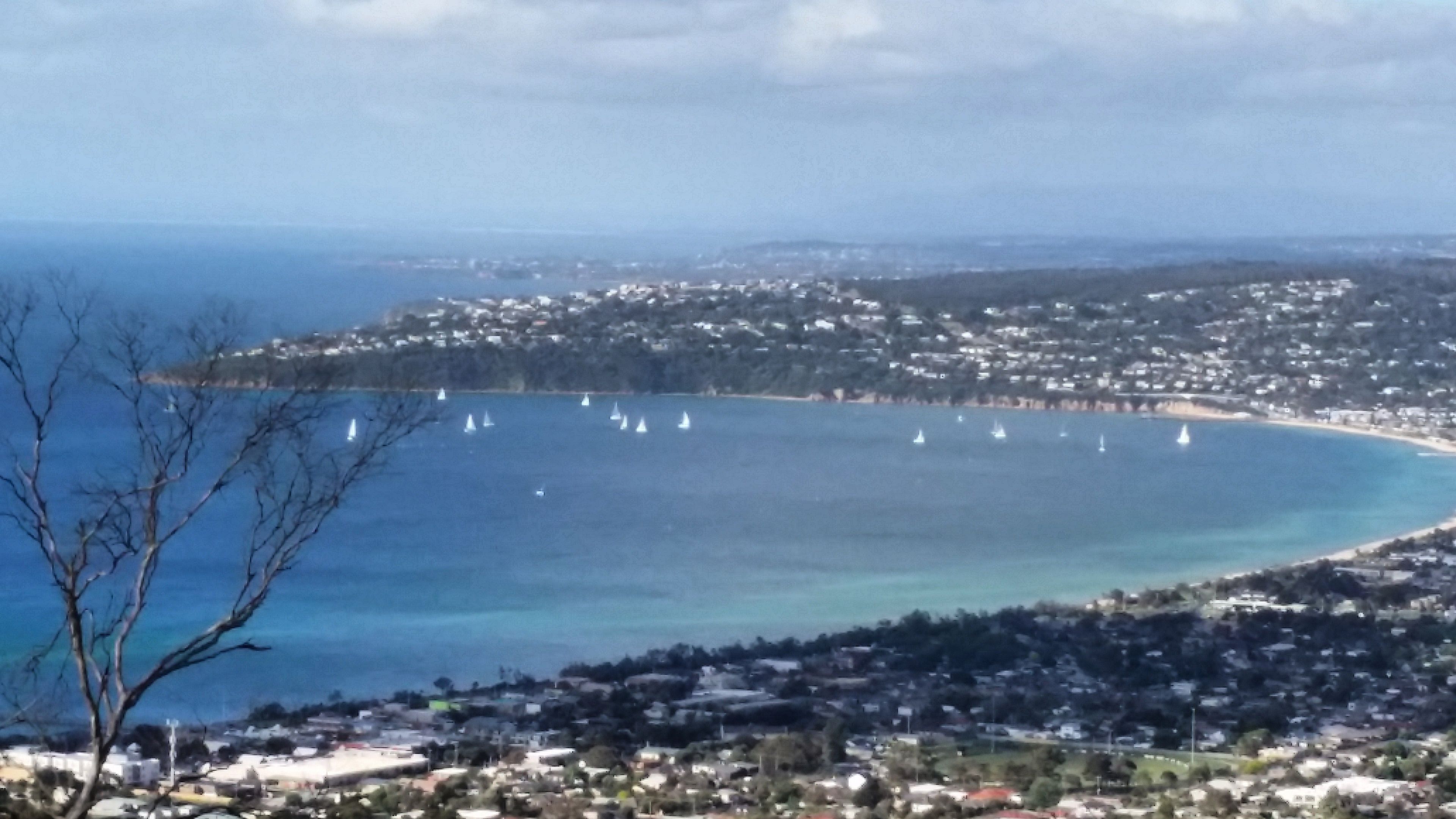 A coastal town with a bay, sailboats, and residential buildings.