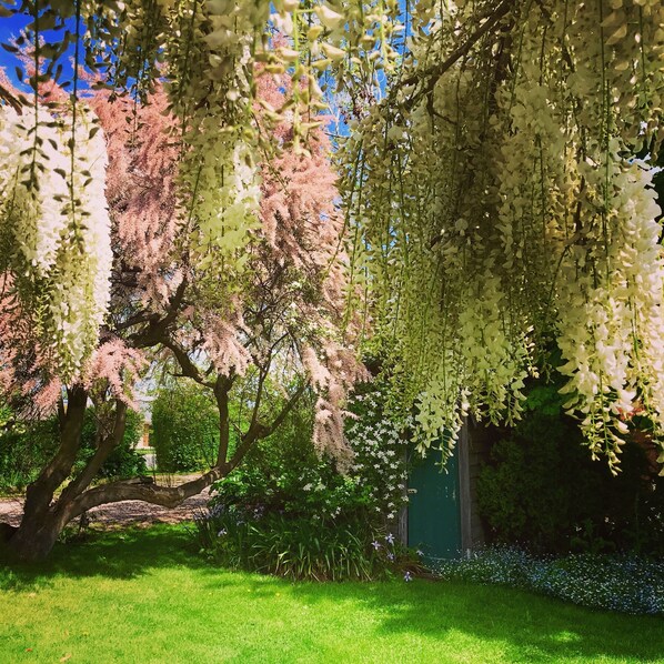 Garden - The Racecourse Inn (Longford)