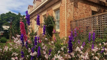 Jardín