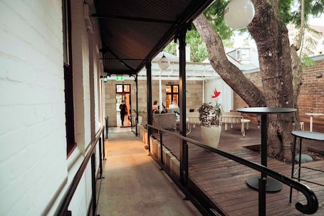 Courtyard view. Little Drifter Surry Hills