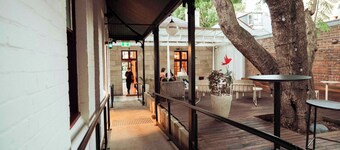 Little Drifter Surry Hills