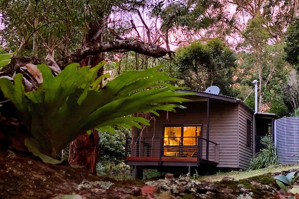 Sábanas de algodón egipcio y ropa de cama de alta calidad