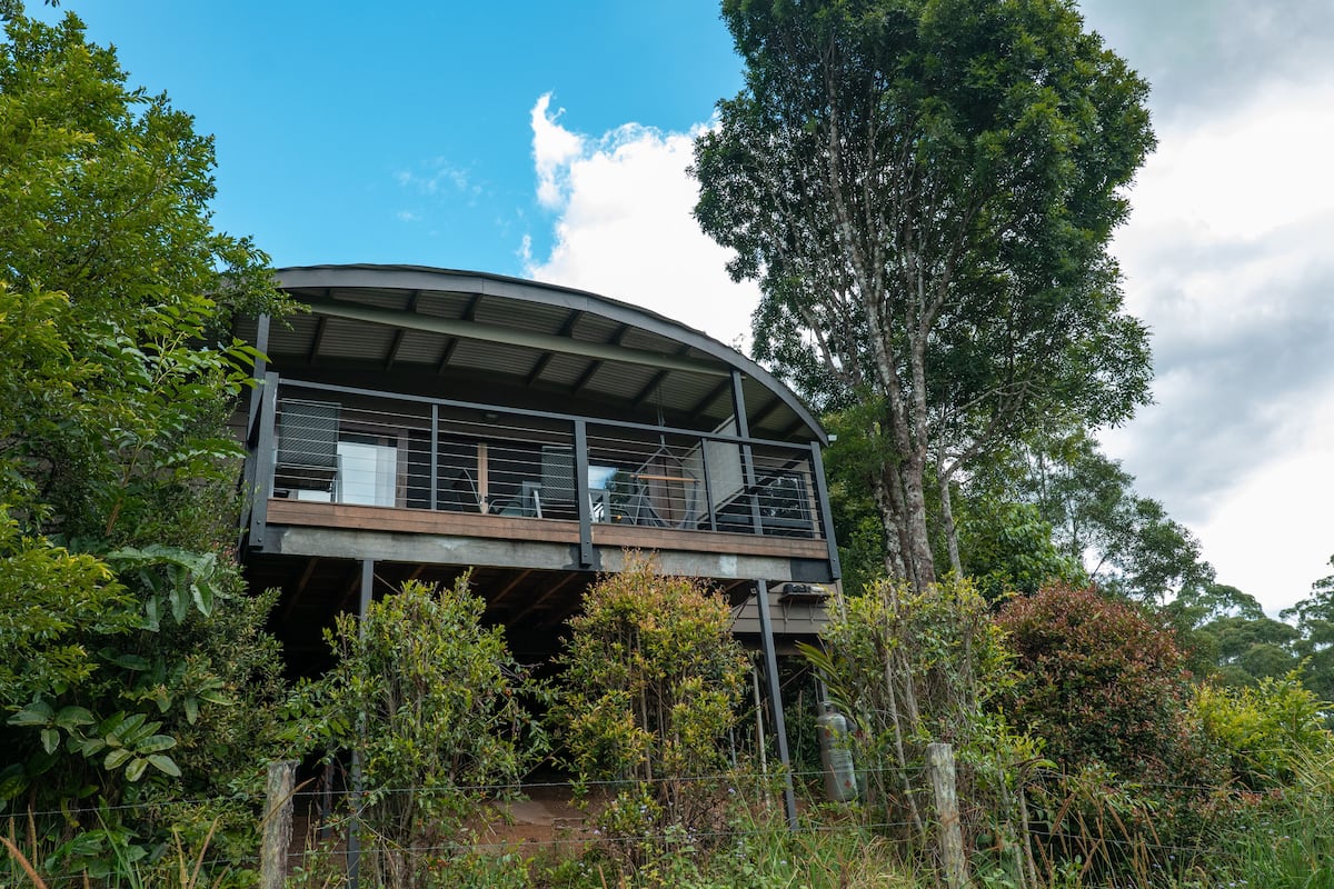 A modern building with a curved roof, surrounded by dense greenery and trees.