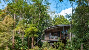 A secluded cabin surrounded by dense forest, featuring a covered outdoor seating area and a staircase leading to the main entrance. - Whispering Valley Cottage Retreat (Witta)