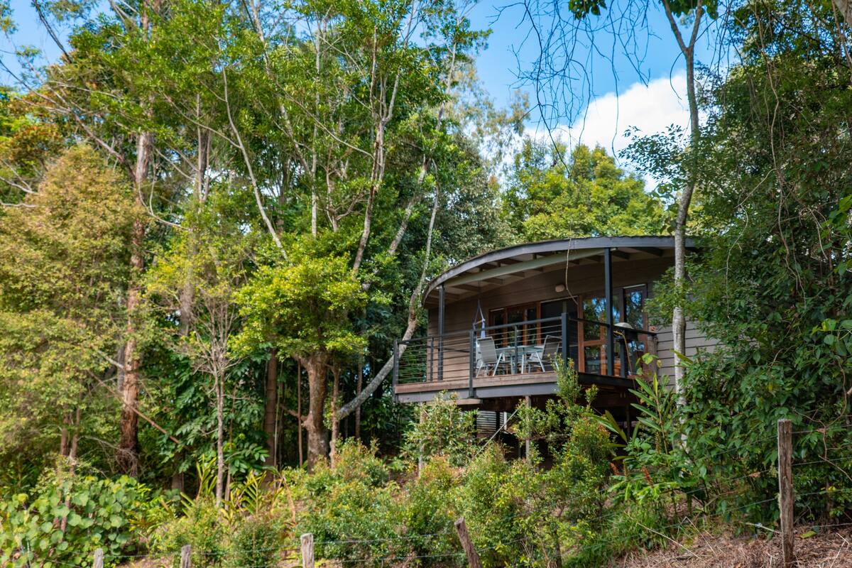 A secluded cabin surrounded by dense forest, featuring a covered outdoor seating area and a staircase leading to the main entrance.