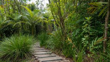 A wooden pathway through a lush garden with various tropical plants.