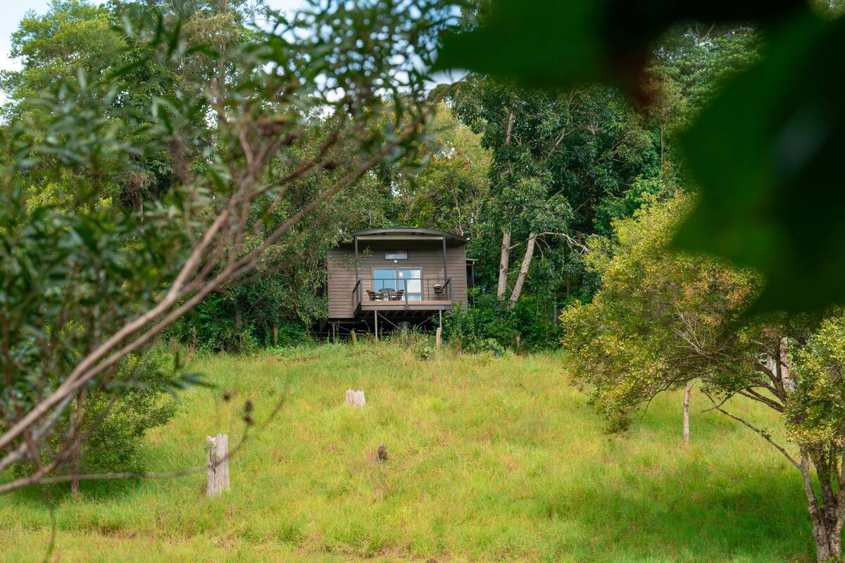 A cabin in a grassy area surrounded by trees.