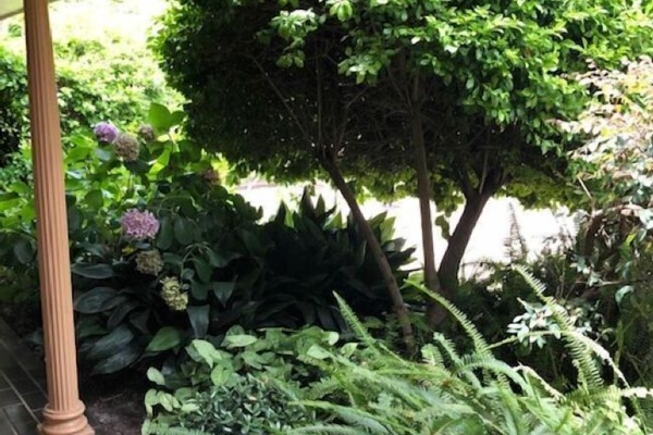 BBQ/picnic area