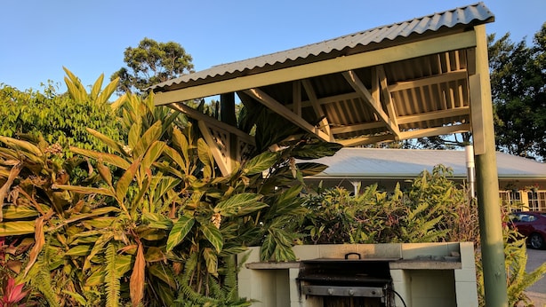 A covered outdoor area with a grill and a gas cylinder, surrounded by lush tropical plants.