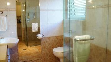 A modern bathroom with a glass-enclosed shower, a toilet, and a sink.