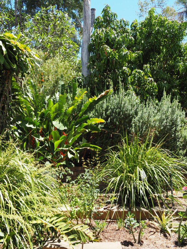 Property grounds - Sunbird Motel (Julago)