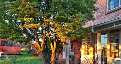 Poplars at Mittagong