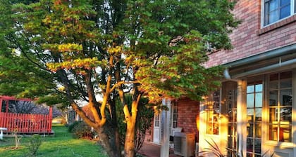 Poplars at Mittagong