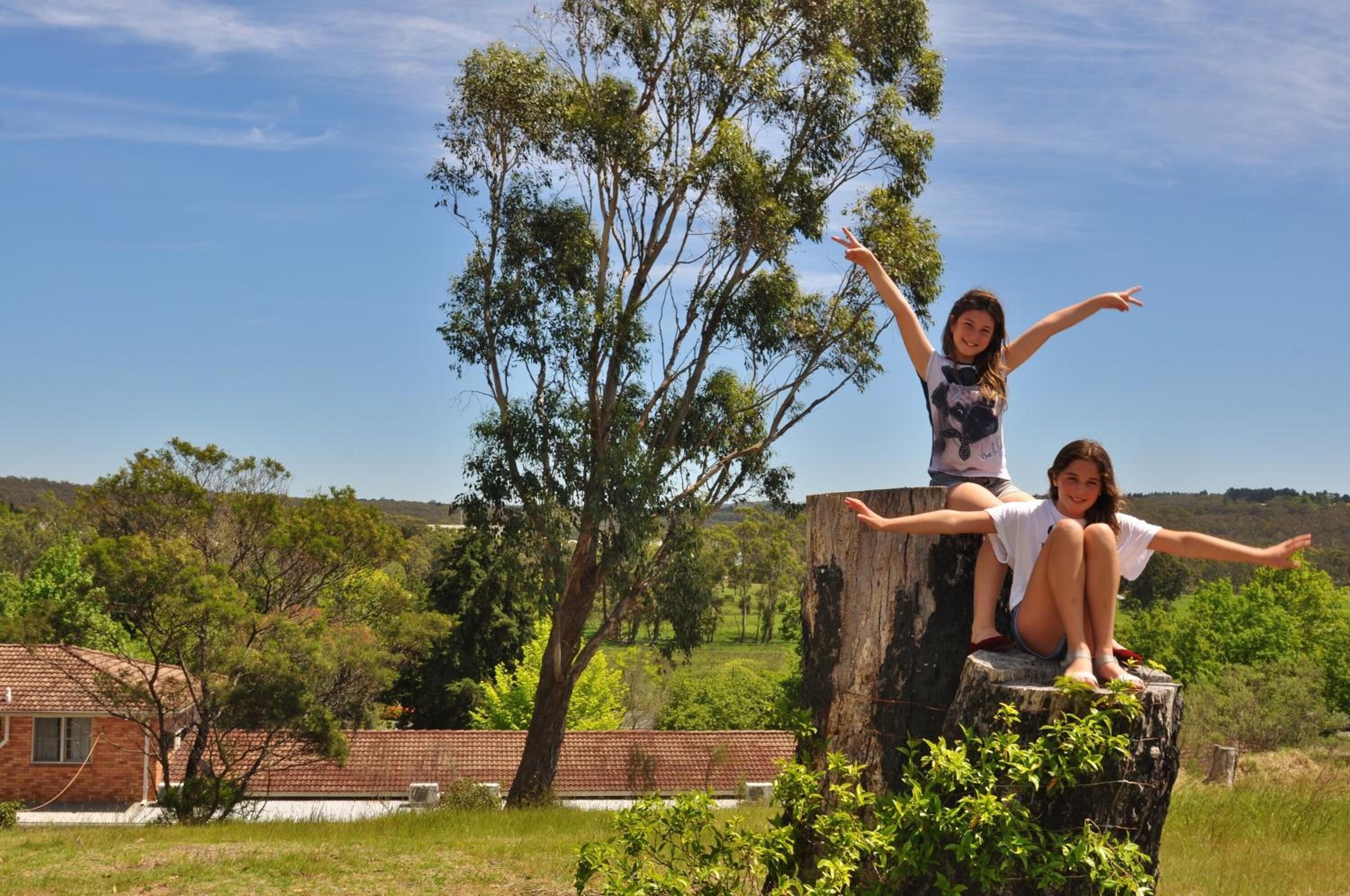 Two people sitting on a tree stump with a rural landscape in the background.