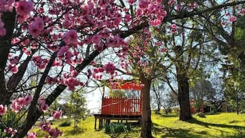 Familiekamer, niet-roken, kitchenette (Family 3 nights Min) | Exterieur