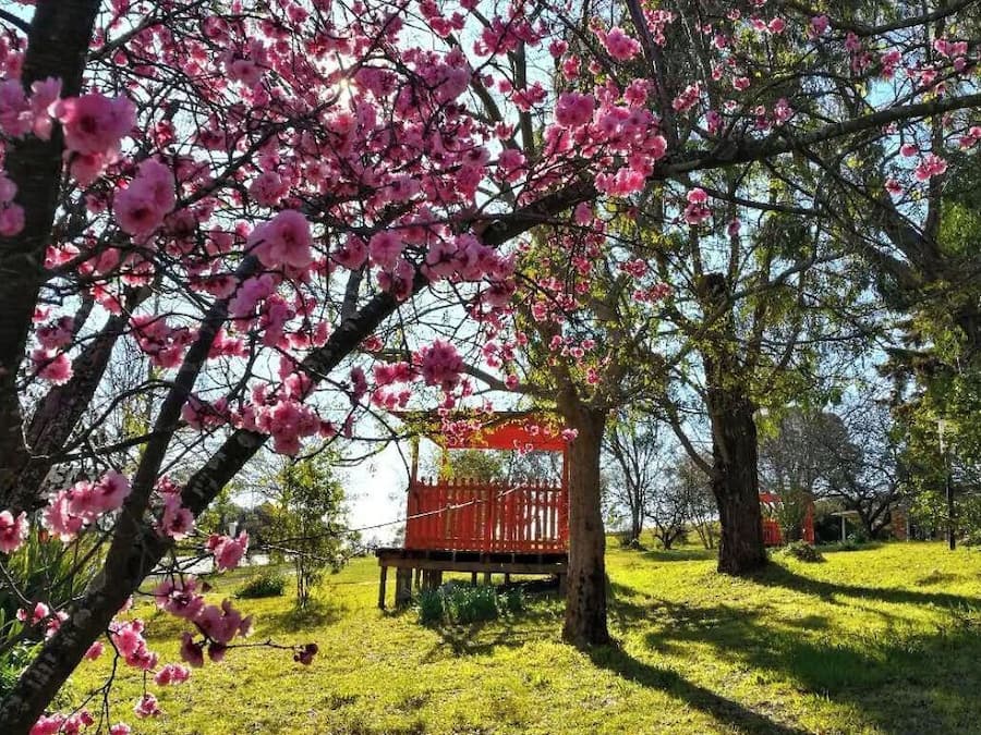 Family Room, Non Smoking, Kitchenette (Family 3 nights Min) | Exterior