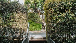 Una escalera que desciende rodeada de abundante vegetación.