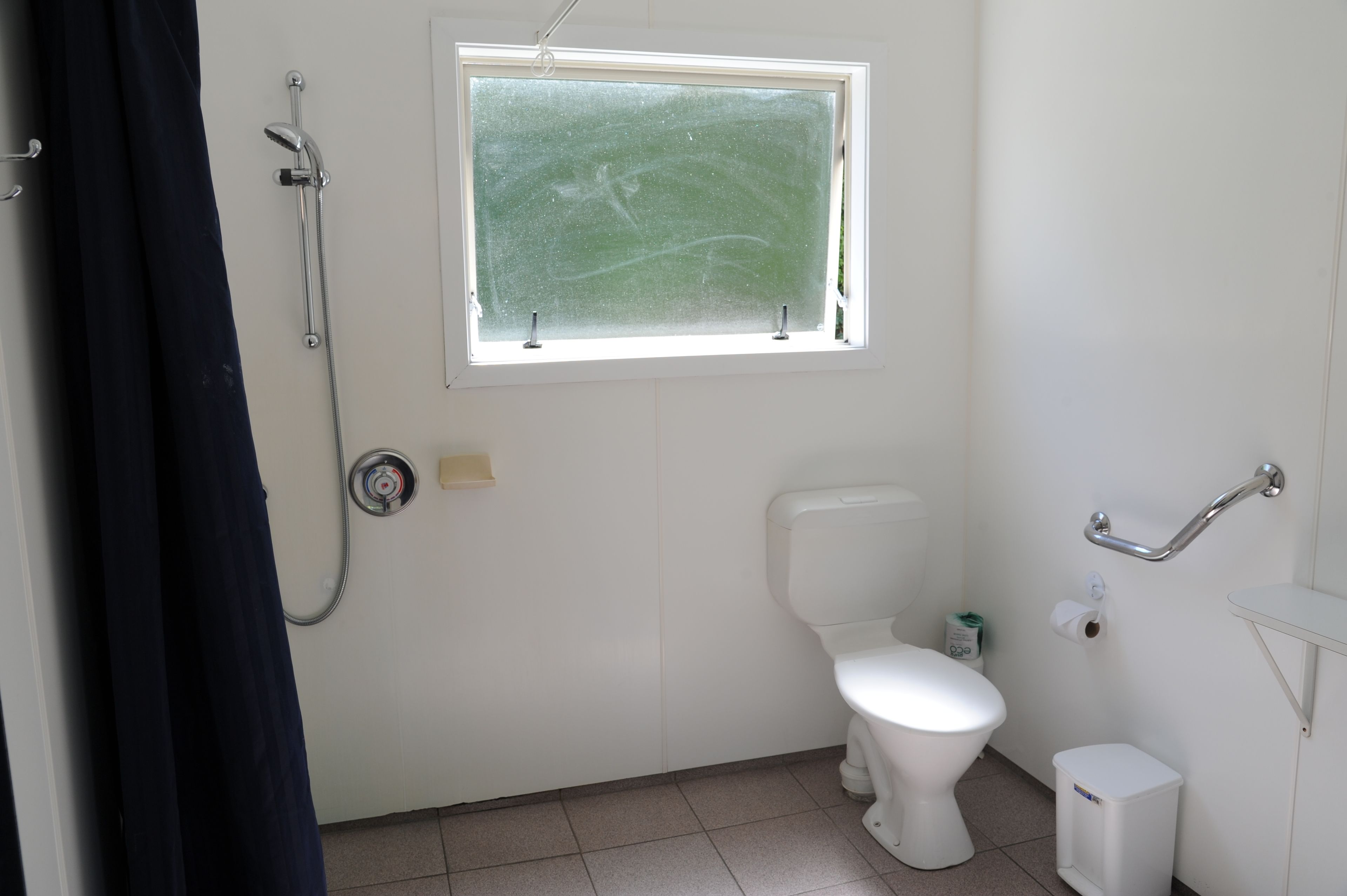 A bathroom with a toilet, a shower, a window, and a handrail.