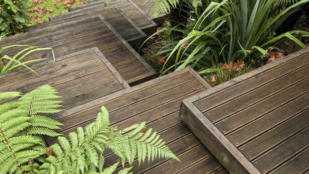 A garden with ferns and a wooden deck. - B&B @ the Redwoods (Rotorua)