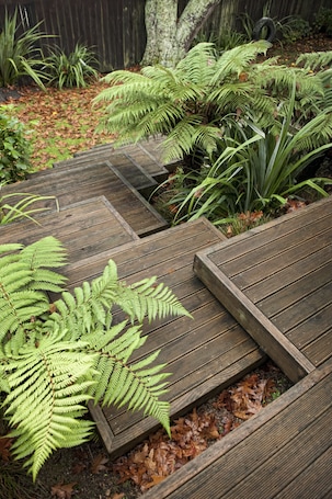 Terraza o patio. B&B @ the Redwoods