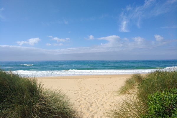 Beach nearby, white sand