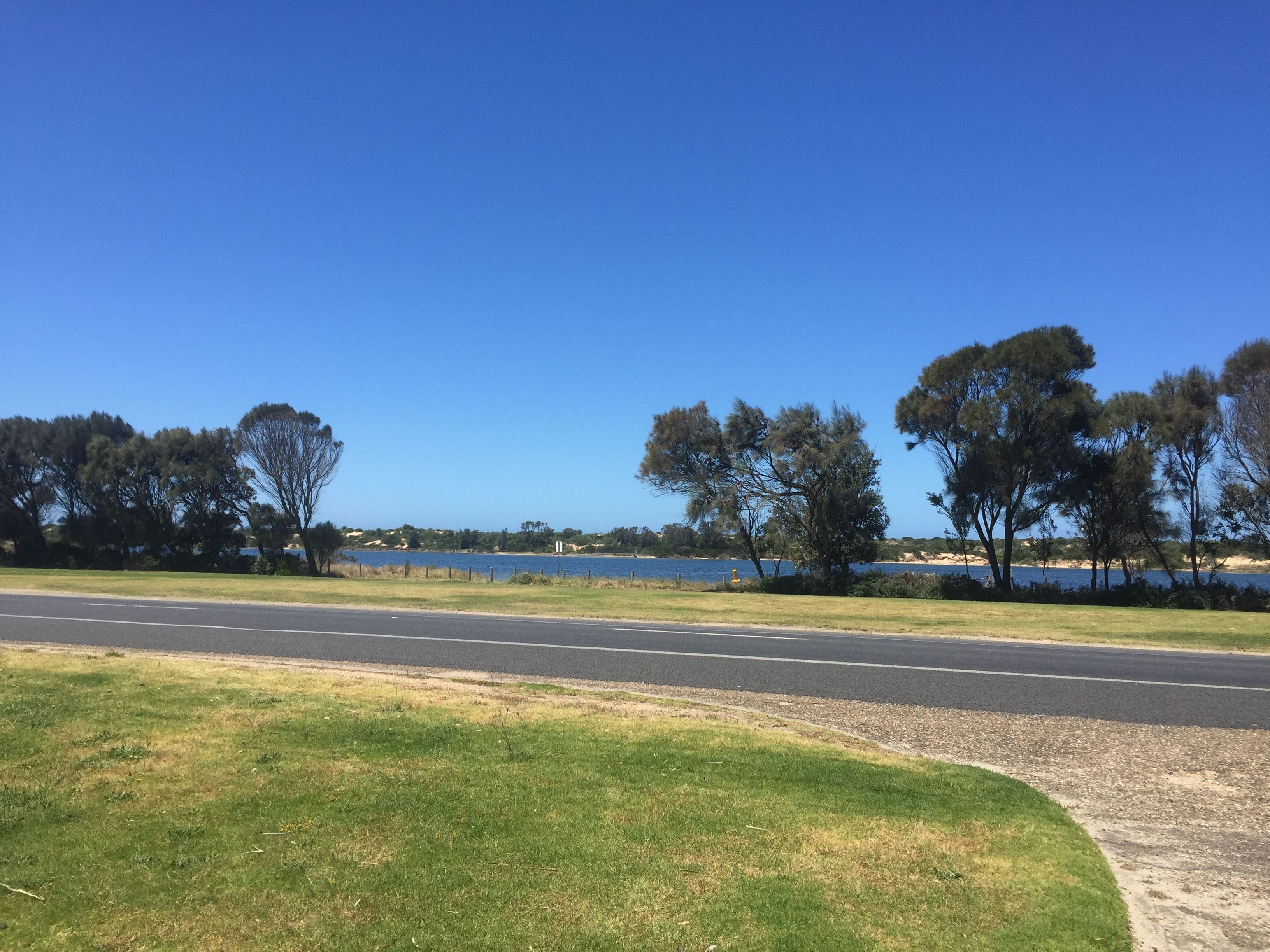 A road with a grassy area and trees on one side and a body of water on the other.