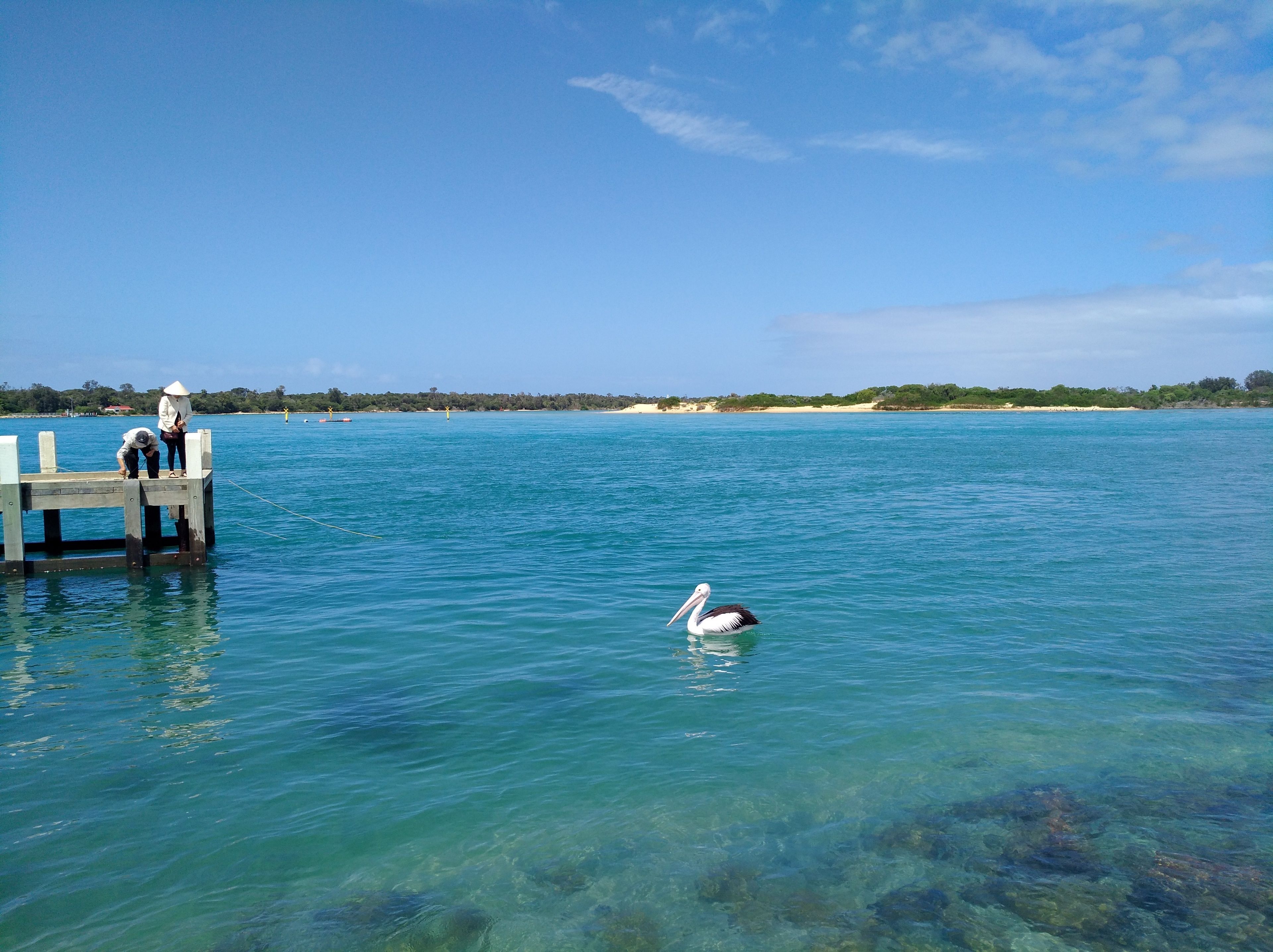 A clear blue sea with a pier extending into it.