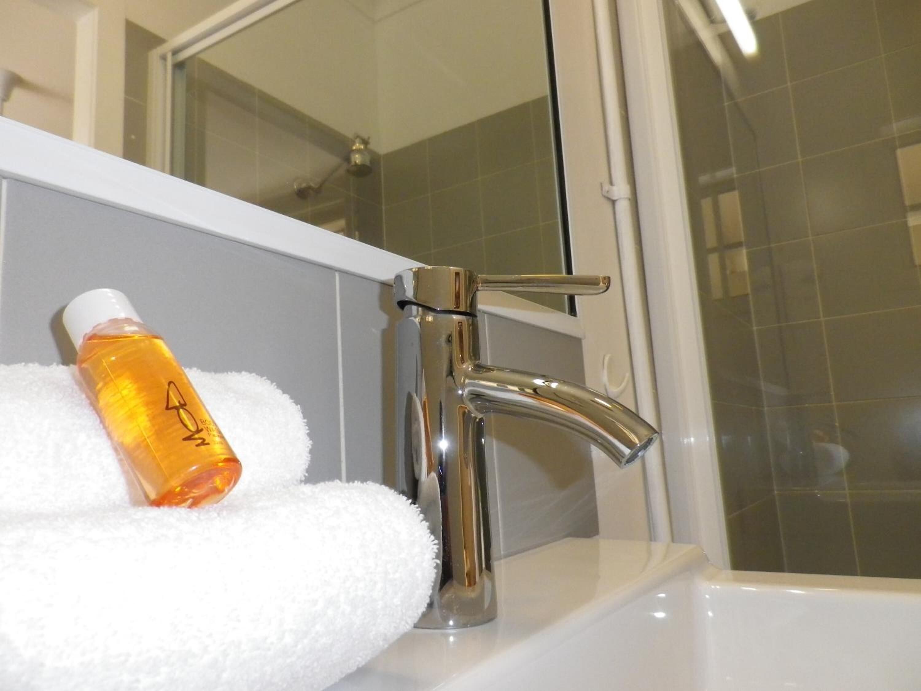 Free toiletries, hair dryer, towels