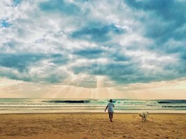 A beach scene with a person and a dog walking on the sand, facing the ocean under a cloudy sky.