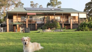 Ein Haus mit einem grünen Dach, einer Veranda und einem Hund, der vor dem Haus auf dem Gras liegt.