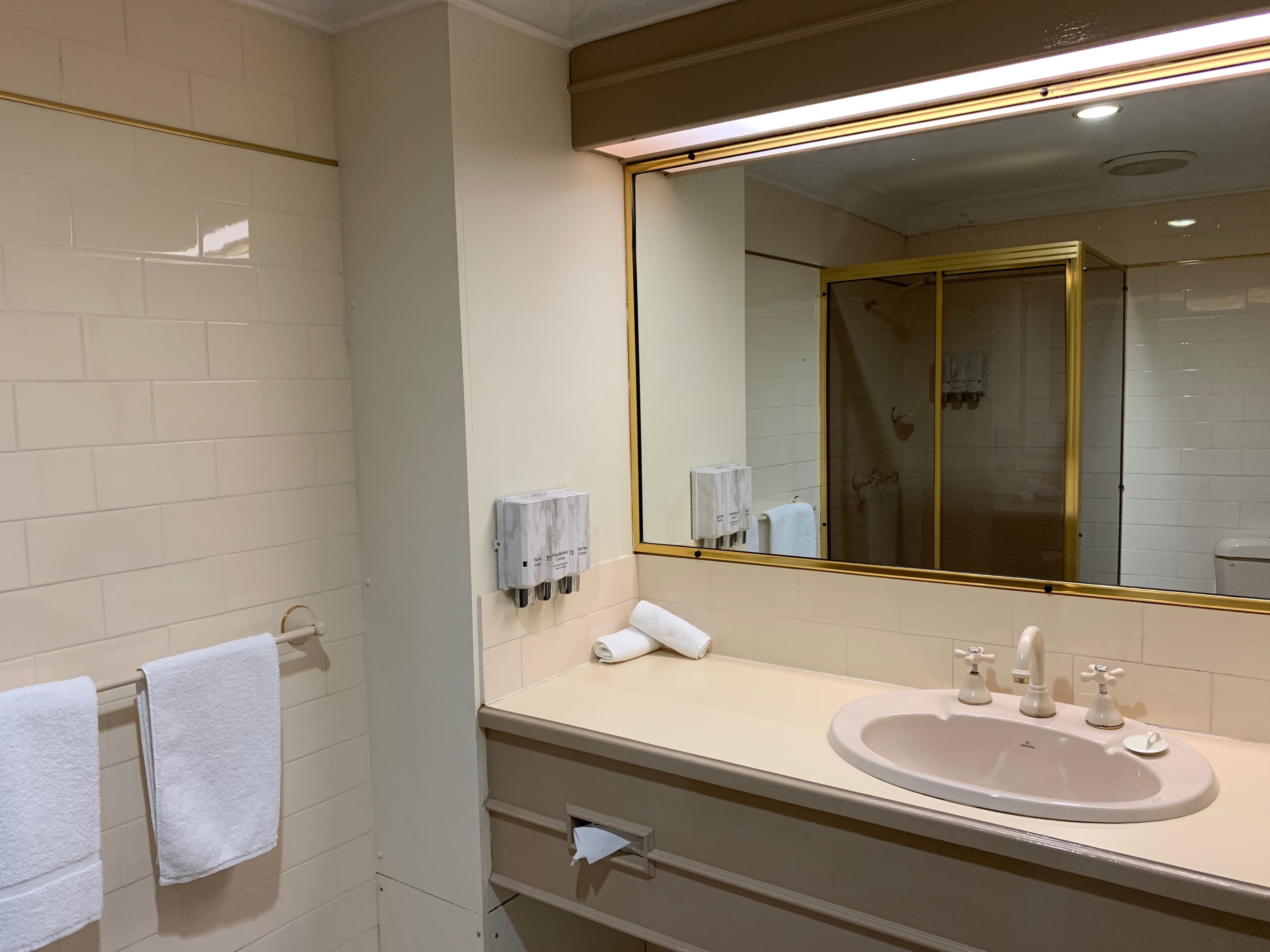 Une salle de bain avec un grand miroir, un lavabo et un porte-serviettes.
