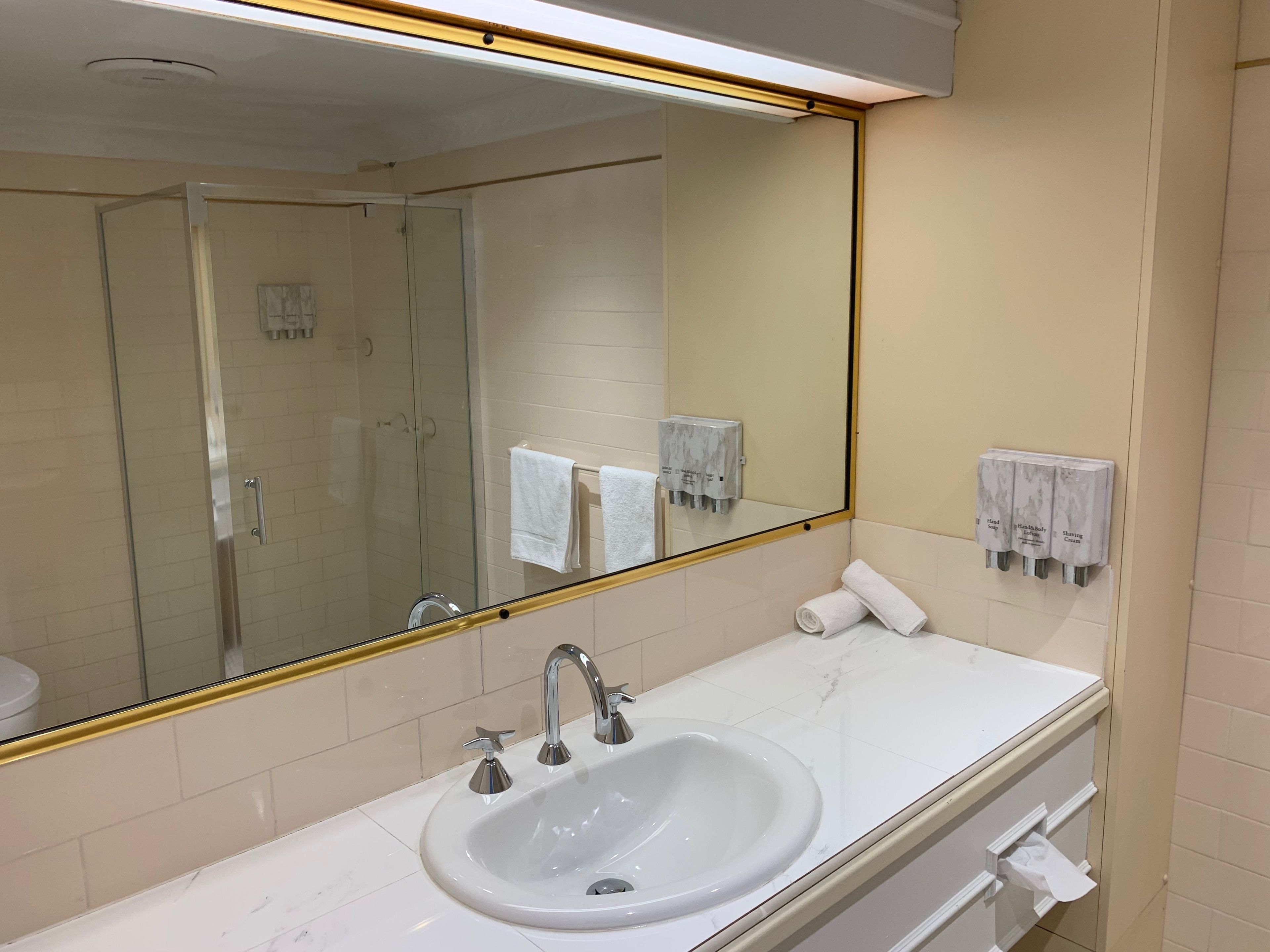 Un baño con un espejo grande, un lavabo y una cabina de ducha de vidrio.