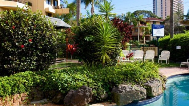 A swimming pool with a hot tub, surrounded by lush greenery and palm trees.