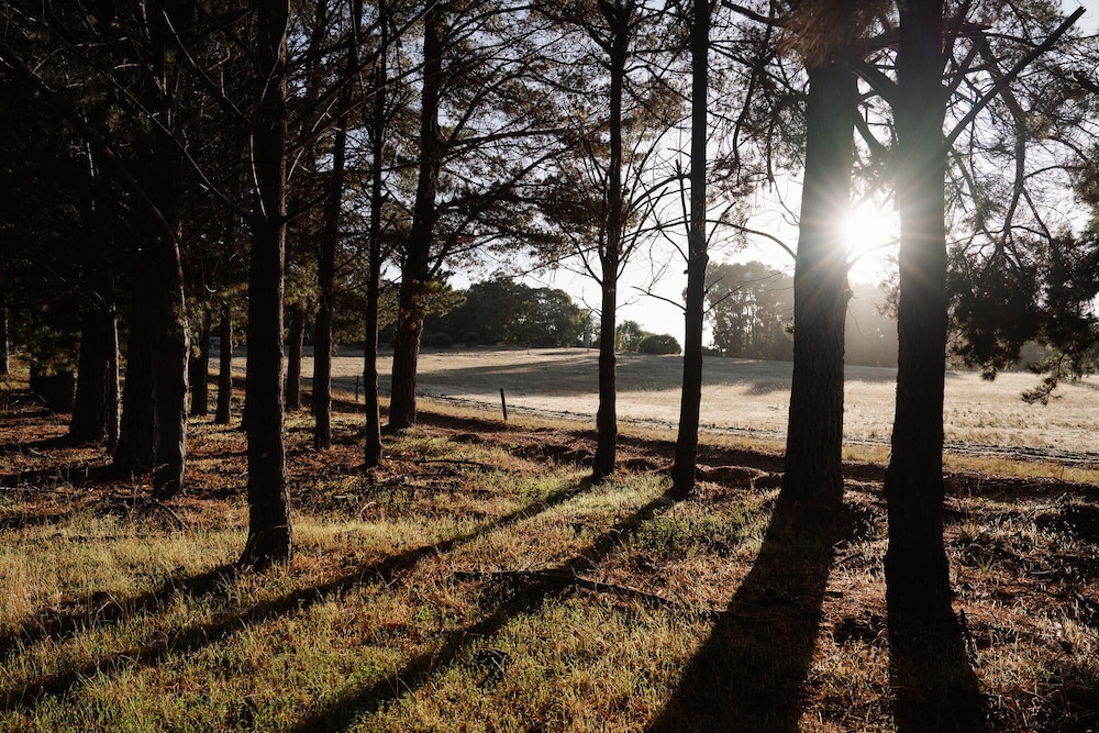 Yallingup Lodge Spa Retreat by null