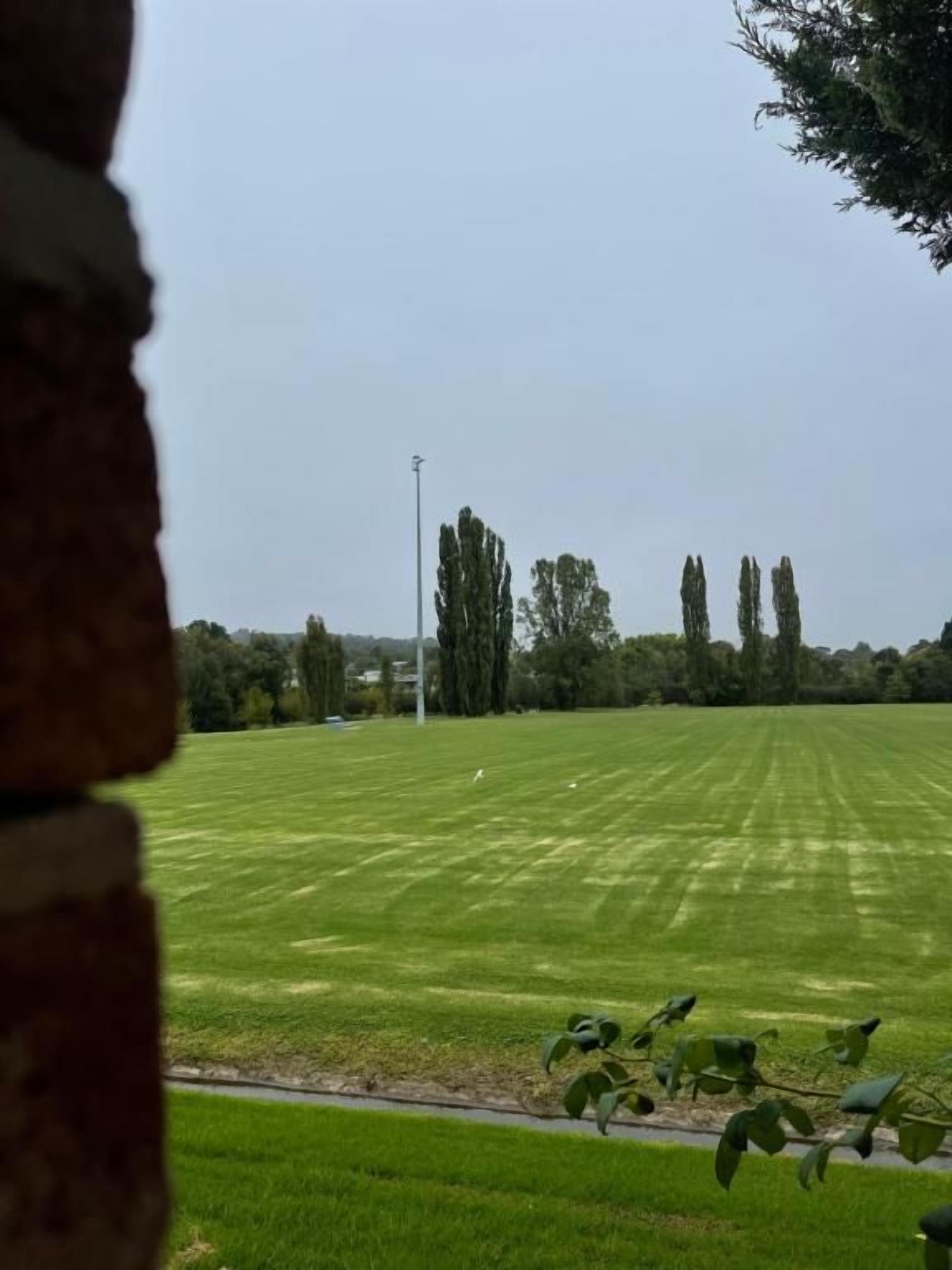 A grassy field with a streetlight and trees in the background.
