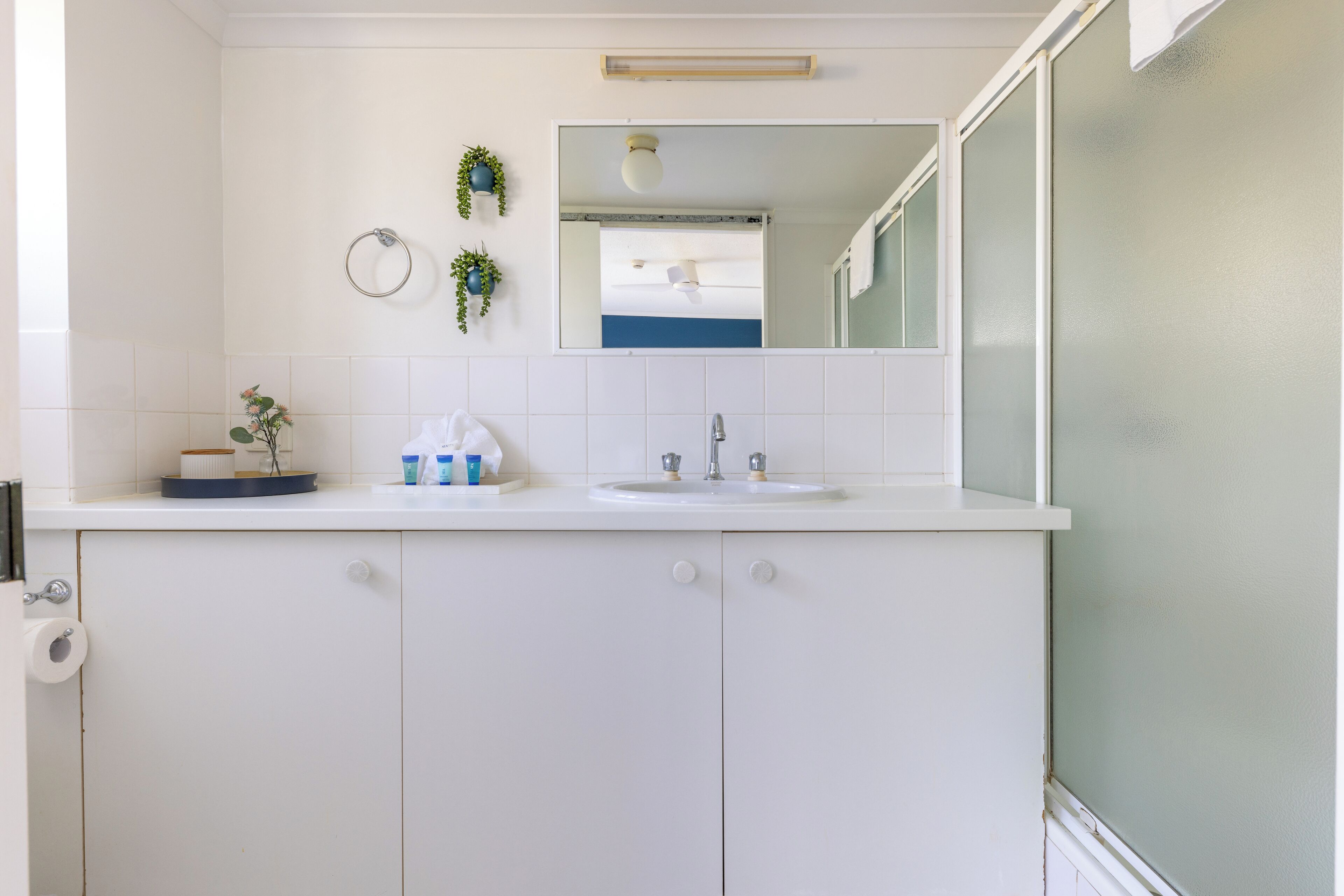 A bathroom with a white sink, a mirror, and a toilet. There are plants on the wall and a towel rack.