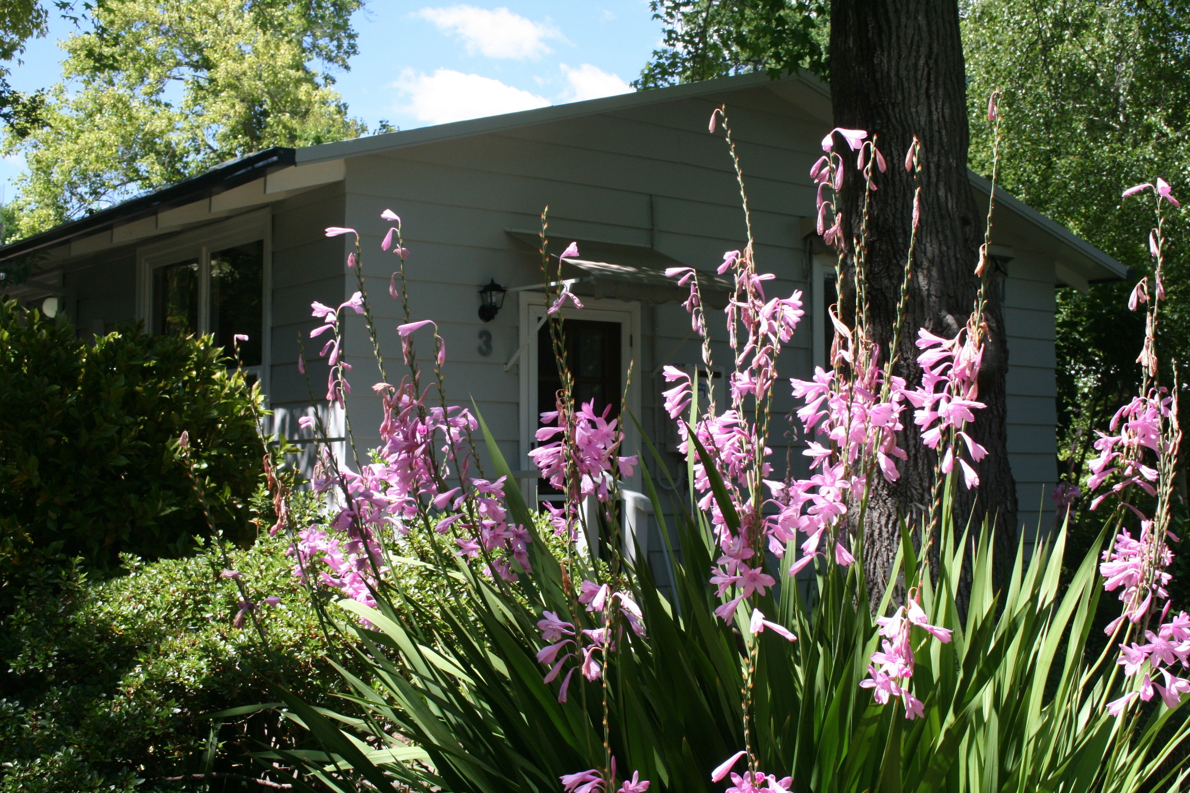 A white building with a number '3' on the door, surrounded by lush greenery and pink flowers.
