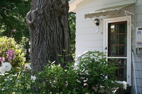 Fachada de la propiedad. Elm Lodge