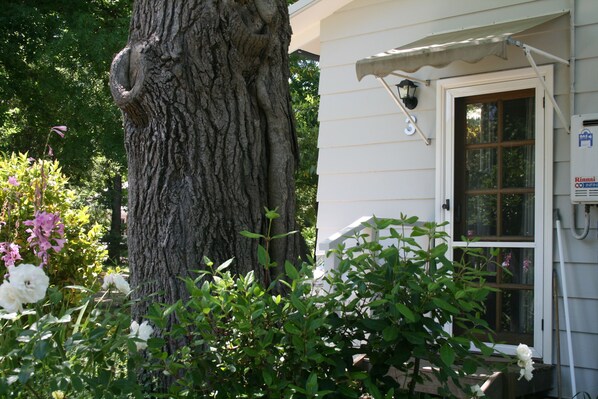 Studio Standard, non-fumeurs (Unit 3 - Studio) | Façade de l’hébergement