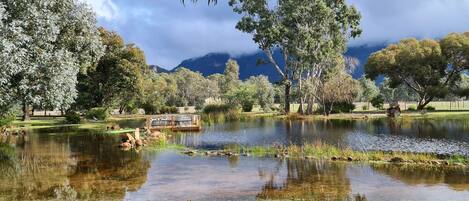 A serene lake with a wooden dock, surrounded by lush trees and a mountain backdrop.