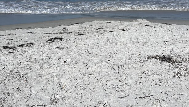 A beach with white sand and calm waves. - Emu Point Motel & Apartments (Emu Point)