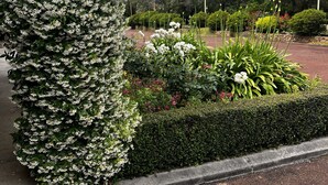 A landscaped garden with various plants and flowers, a paved walkway, and a building with a red roof. - Emu Point Motel & Apartments (Emu Point)