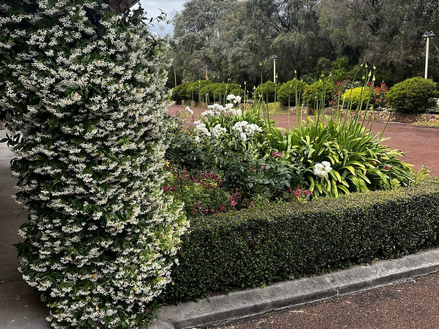 Un jardín ajardinado con diversas plantas y flores, un sendero pavimentado y un edificio con techo rojo.