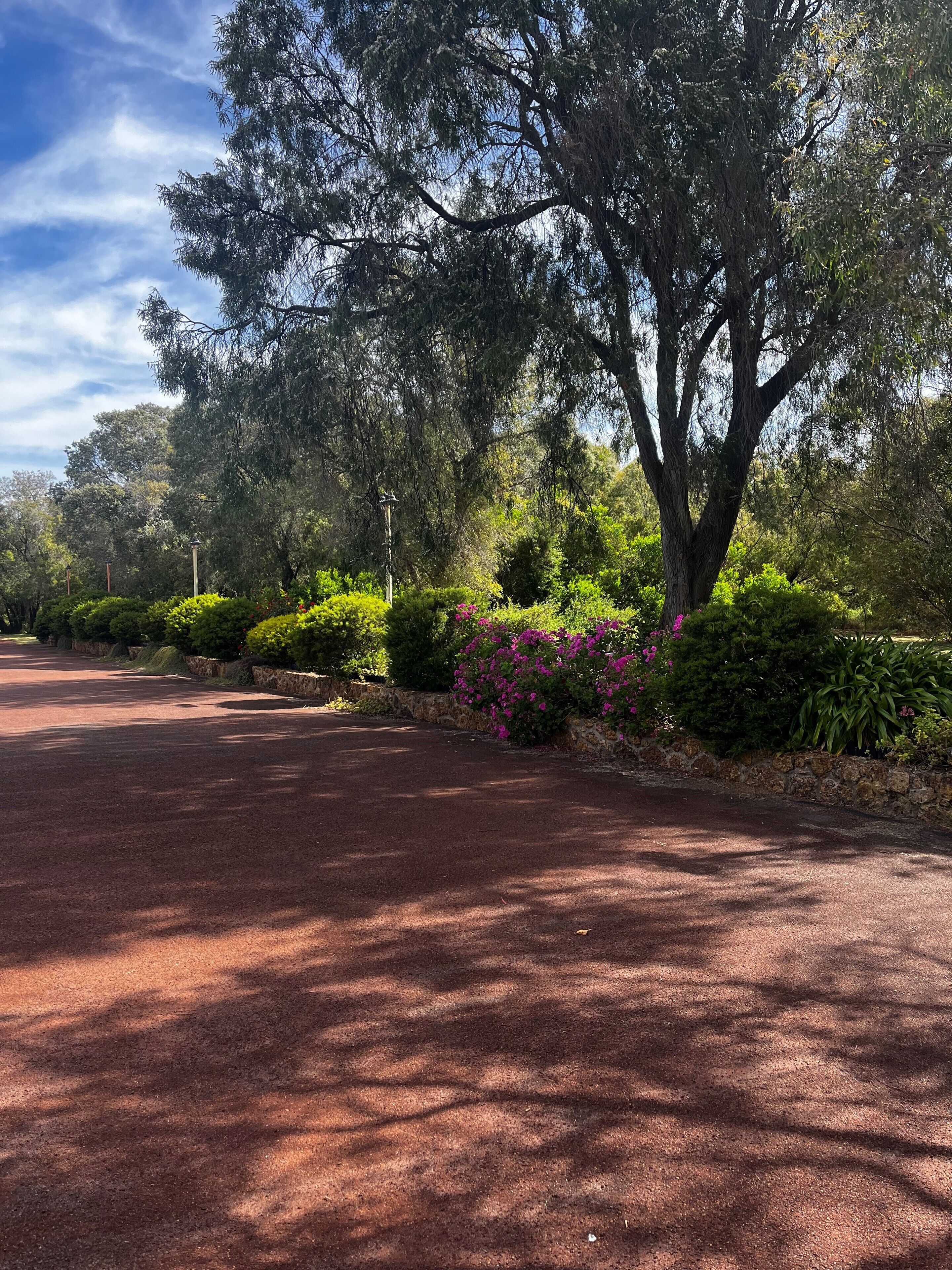 Un camino pavimentado con un muro de piedra a un lado y un gran árbol al otro.