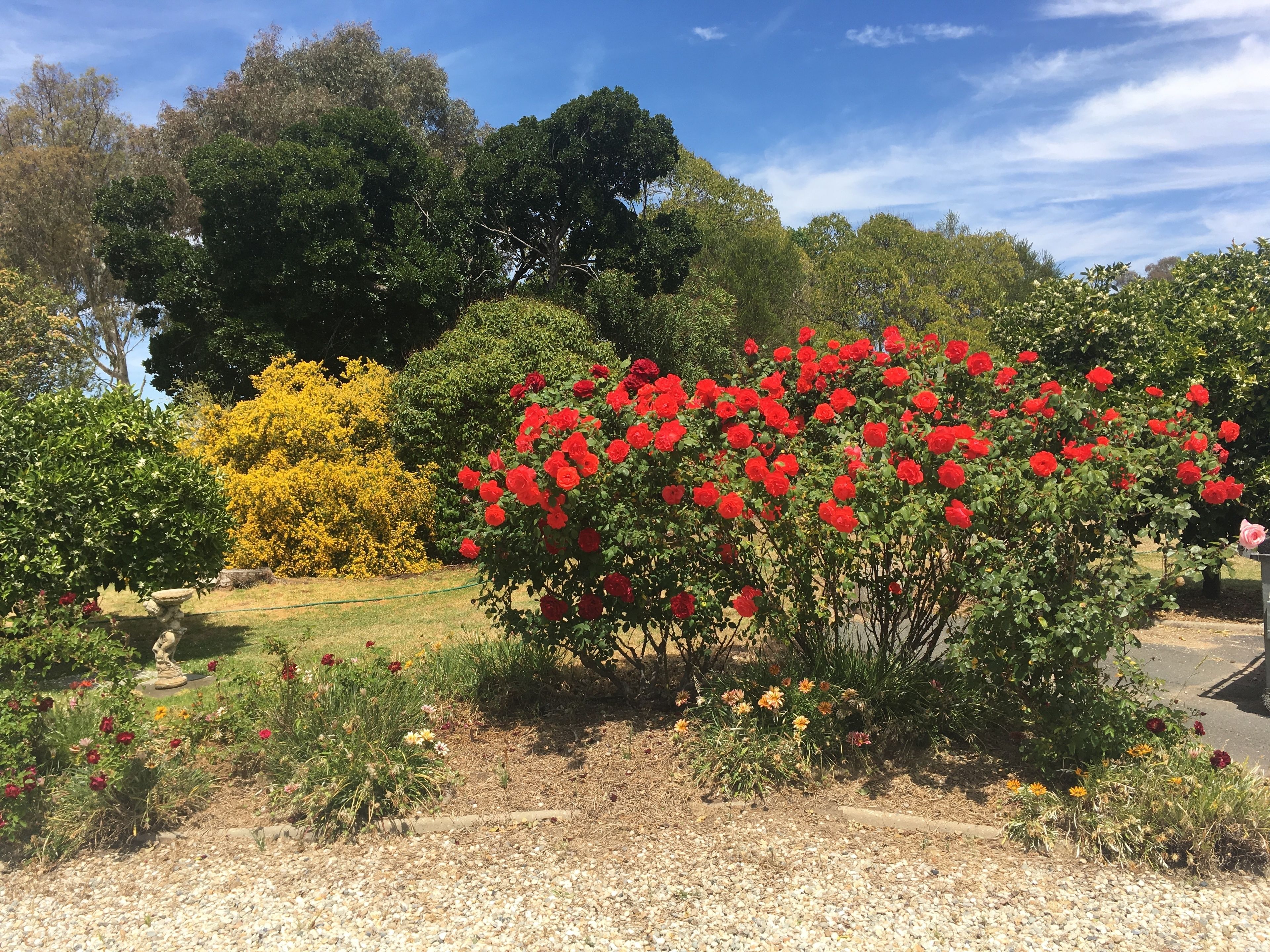 Standaard kamer, niet-roken (Twin) | Uitzicht op de tuin