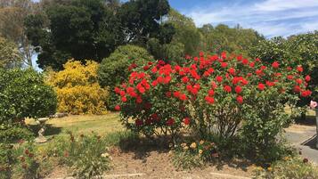 Standard Room, Non Smoking (Twin) | Garden view